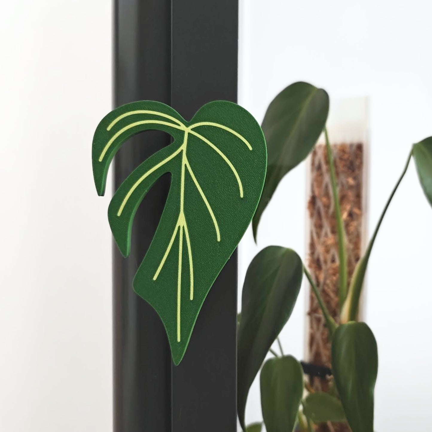 Monstera Burle Marx Fabrikor Key Cover Handles