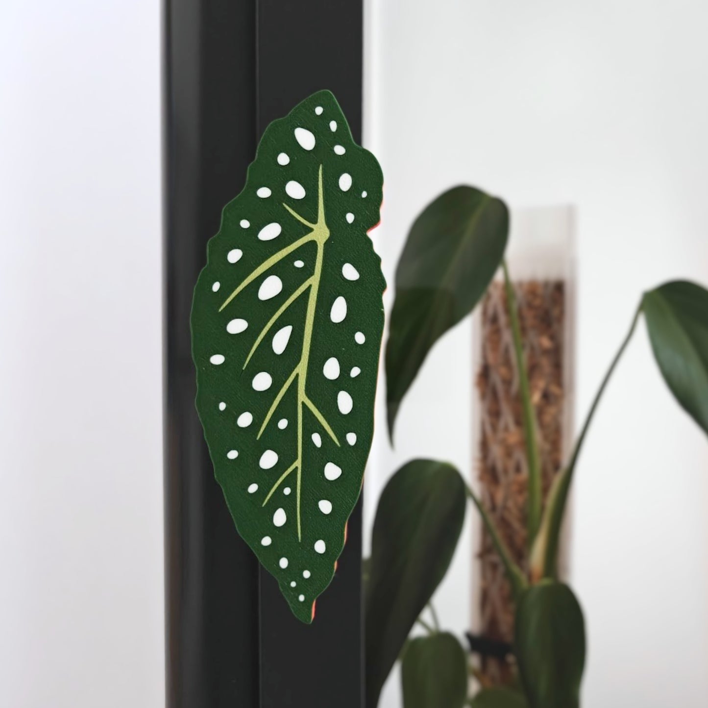 Begonia Fabrikor Key Cover Handles