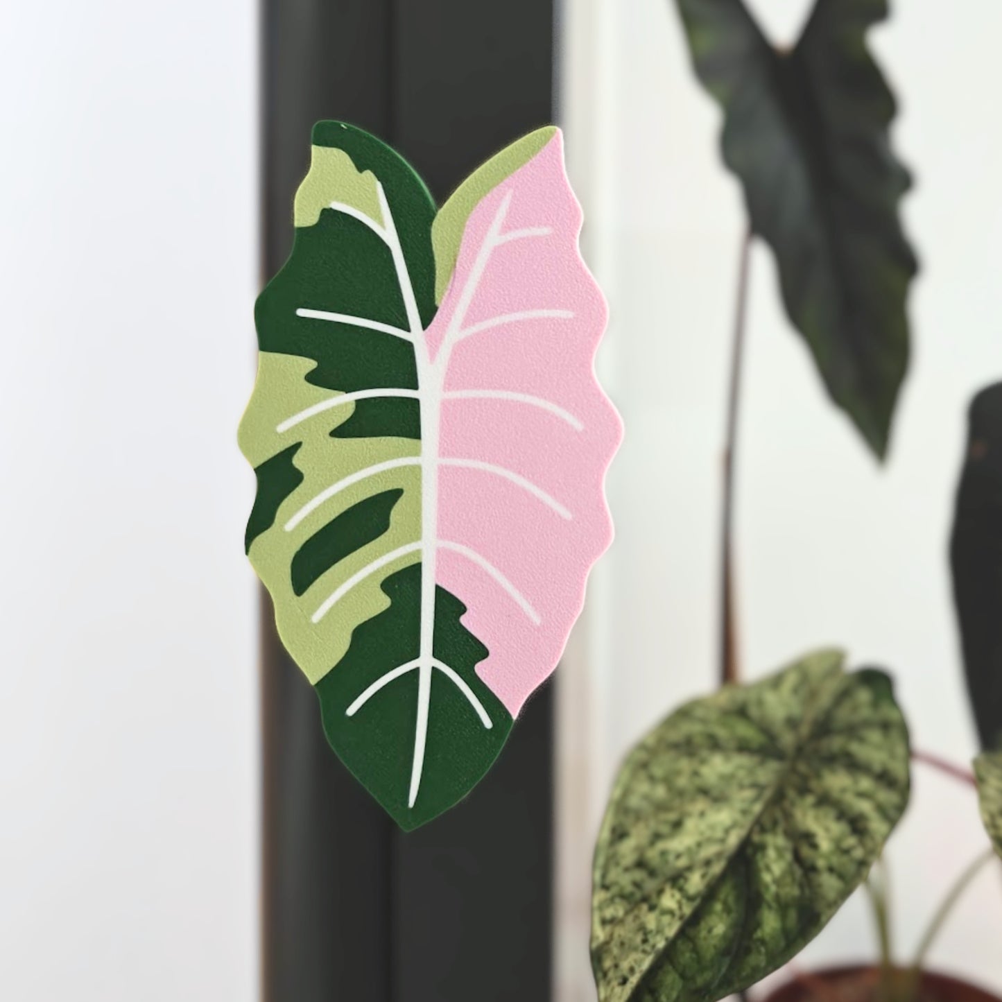 Alocasia Chantrieri Fabrikor Key Cover Handle
