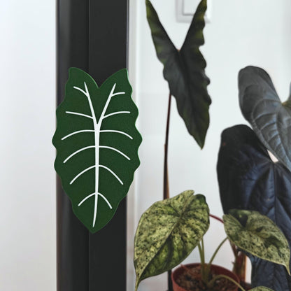 Alocasia Chantrieri Fabrikor Key Cover Handle