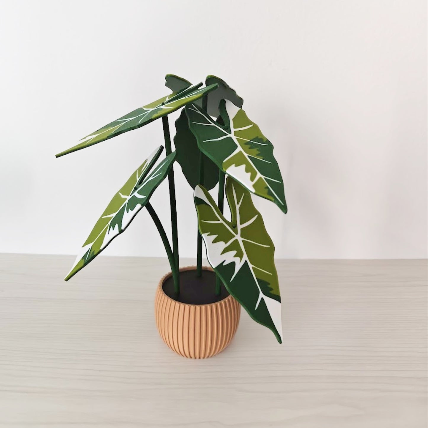 Alocasia Frydek Coaster Set