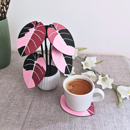 Jewel Alocasia Coaster Set, Variegated Black Velvet and Melo