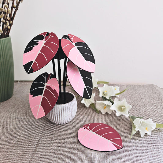 Jewel Alocasia Coaster Set, Variegated Black Velvet and Melo