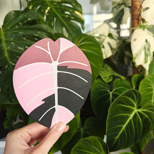 Alocasia Leaf Handles for IKEA MILSBO & RUDSTA Cabinet