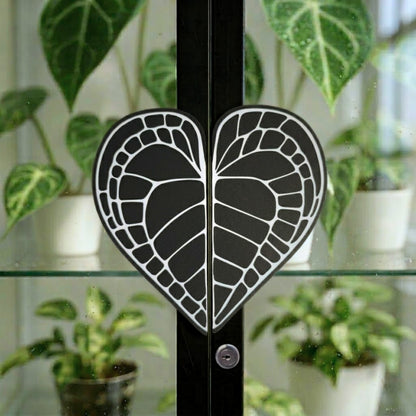 Anthurium Clarinervium ručke za IKEA MILSBO ili RUDSTA vitrinu