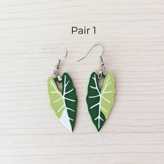 Earrings Alocasia Frydek