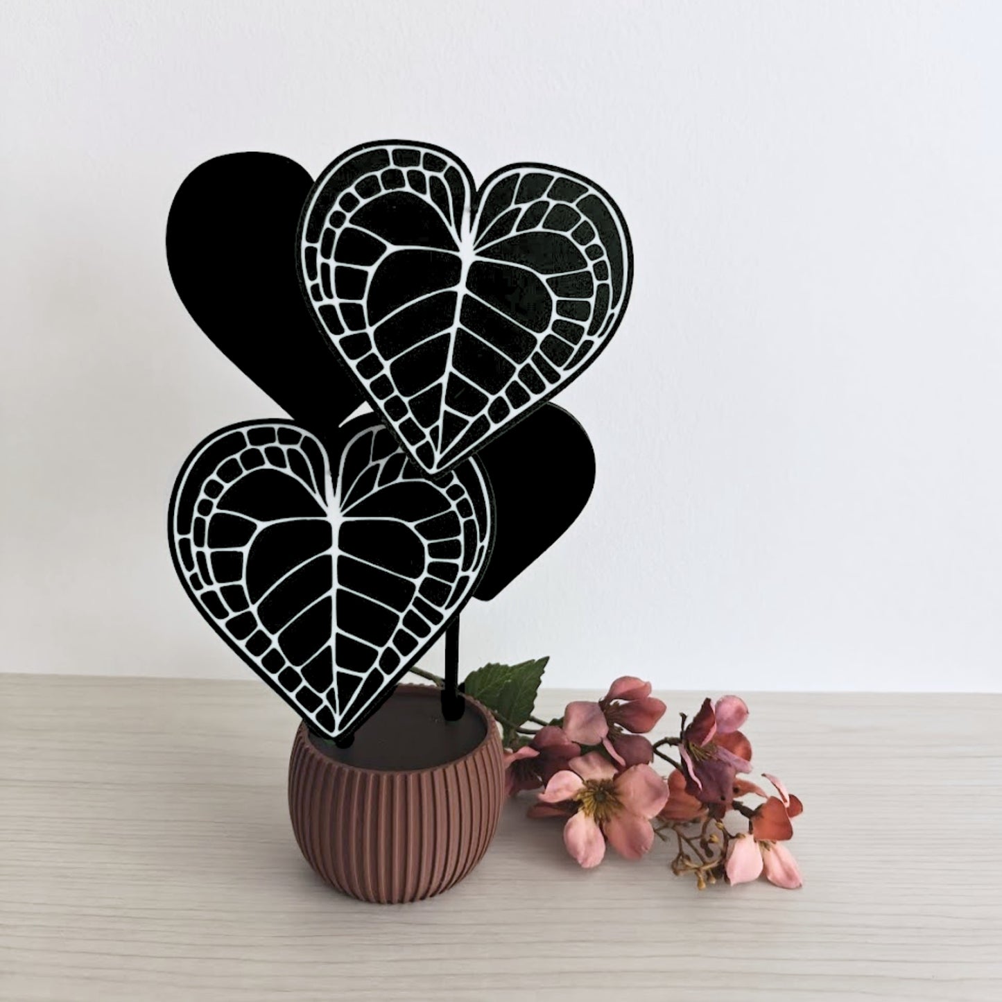 Anthurium Clarinervium set podmetača