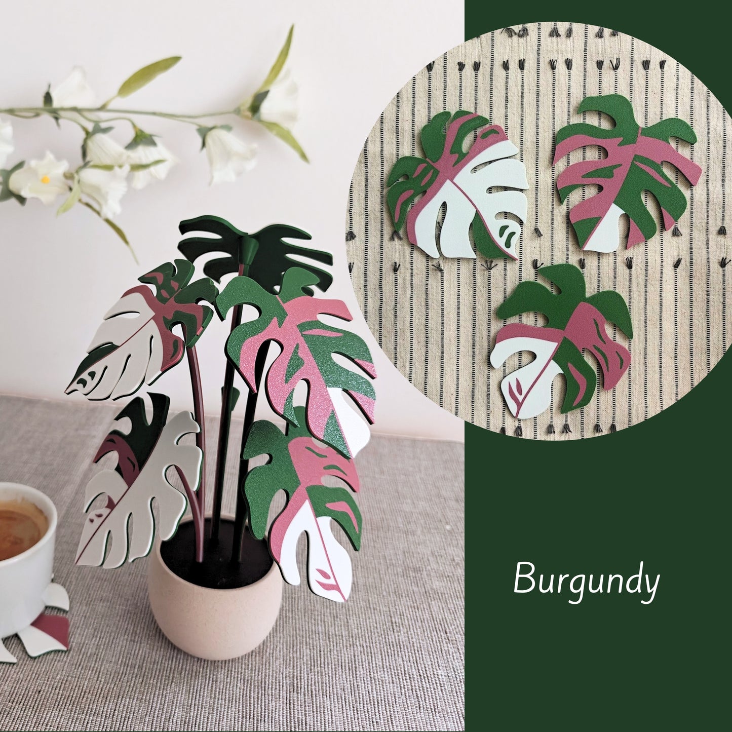 Monstera Coaster Set