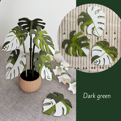 Monstera Coaster Set