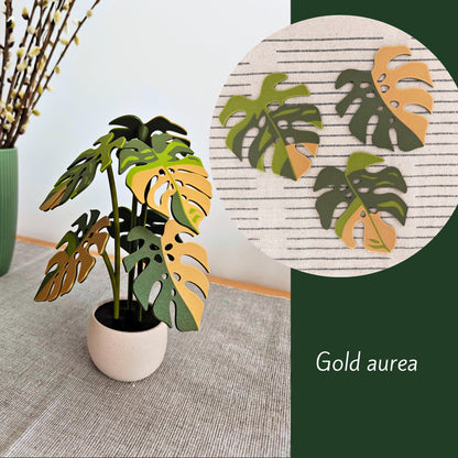 Monstera Coaster Set with Leaf Holes