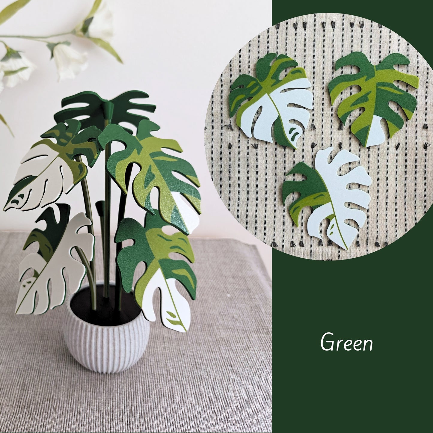 Monstera Coaster Set