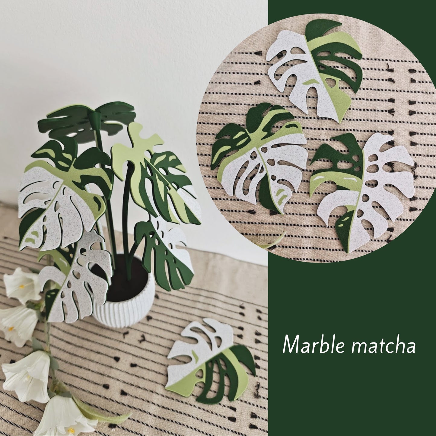 Monstera Coaster Set with Leaf Holes