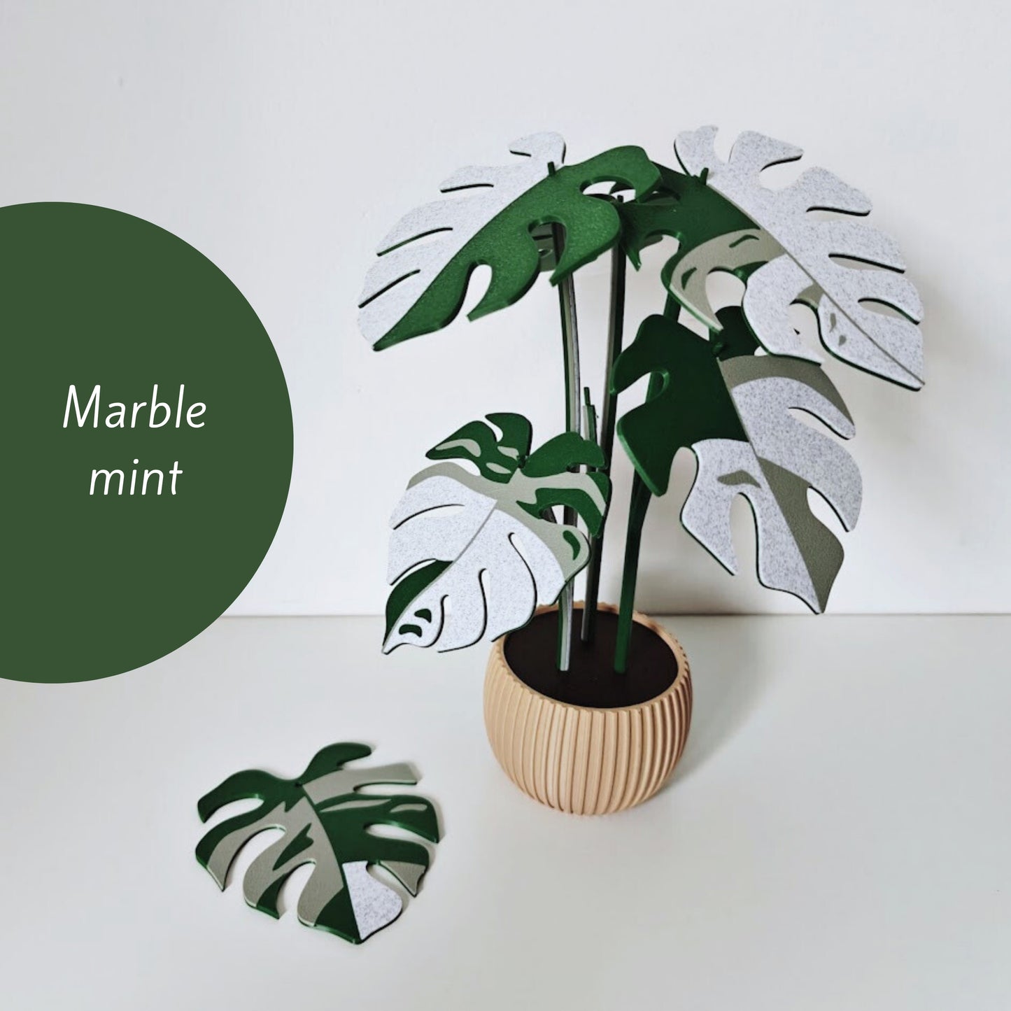 Monstera Coaster Set