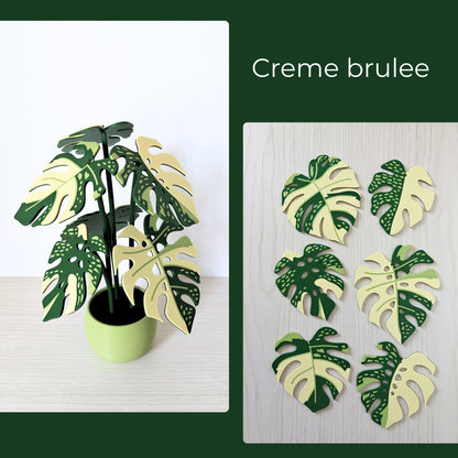 Monstera Thai Coaster Set