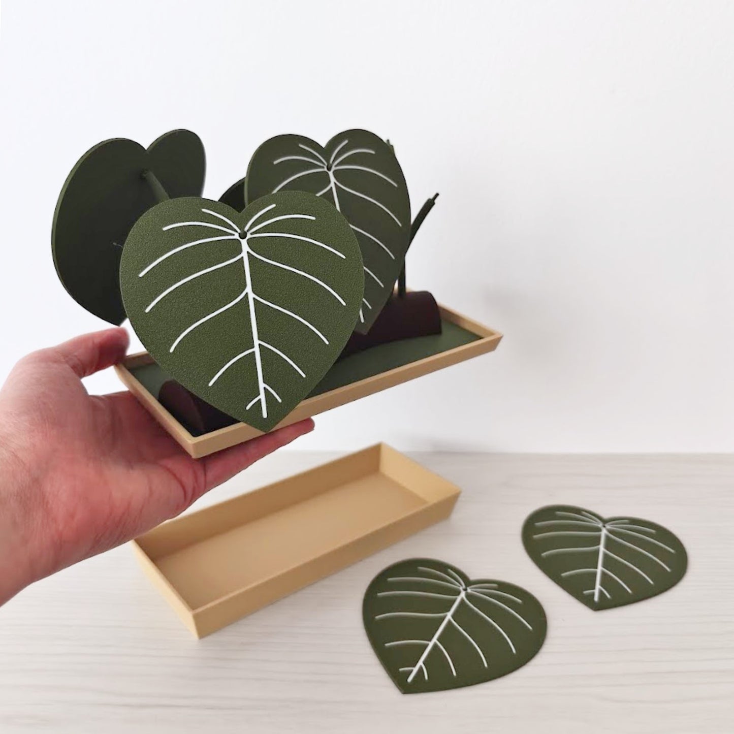 Philodendron Coaster Set with Storage Tray