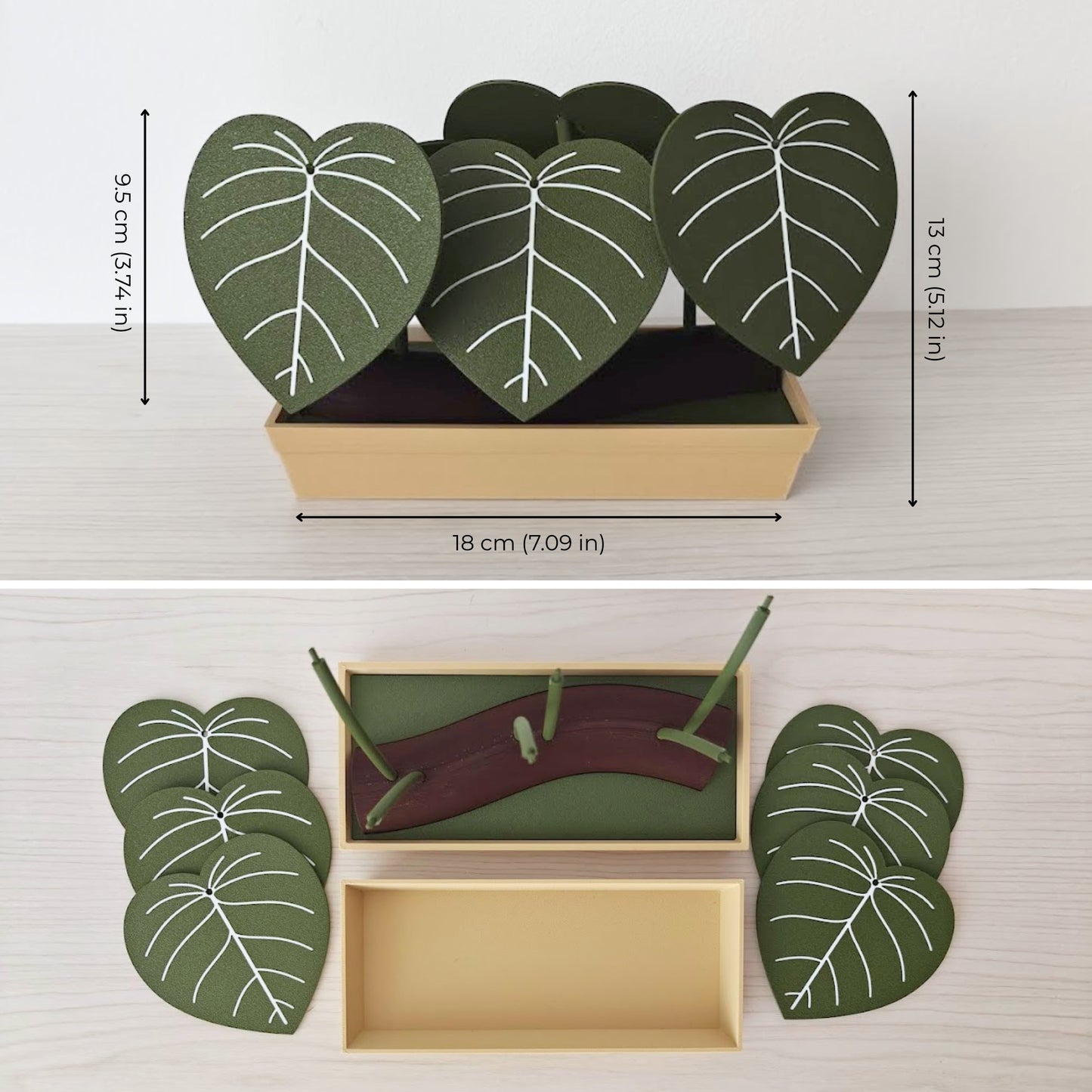Philodendron Coaster Set with Storage Tray