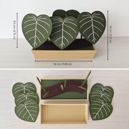 Philodendron Coaster Set with Storage Tray