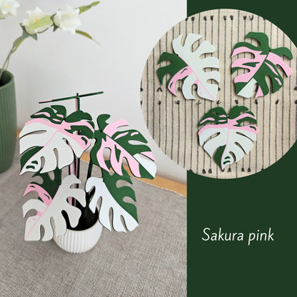Monstera Coaster Set