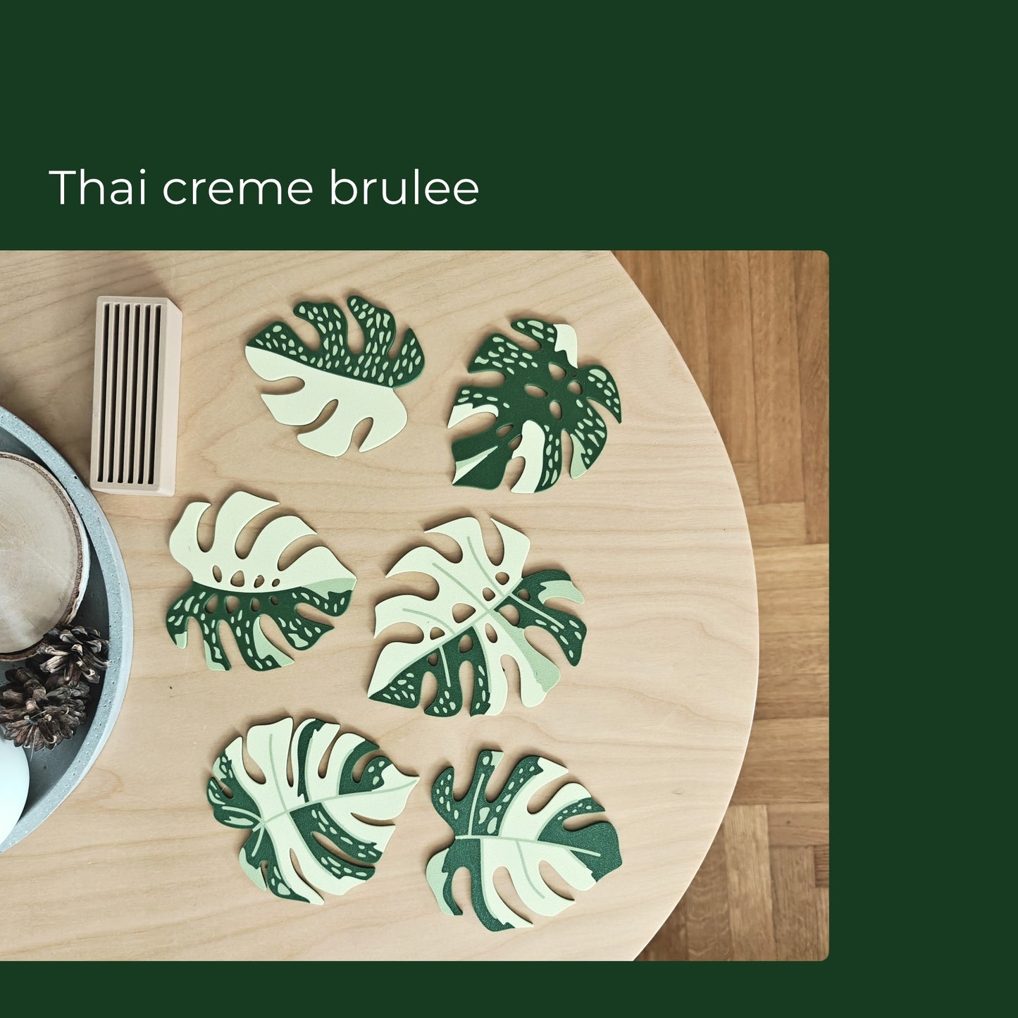 Monstera Thai Constellation Leaf Coaster Set