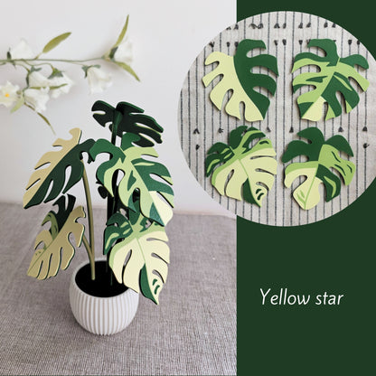 Monstera Coaster Set