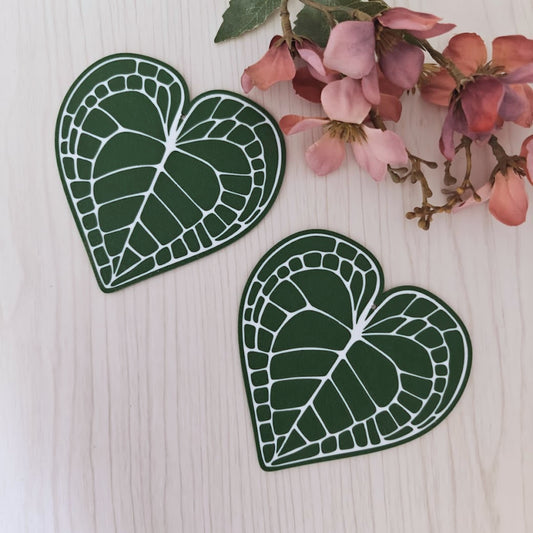 Anthurium Clarinervium Coaster Set