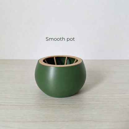 Avocado Seed Grower, Pot Designed as Half an Avocado