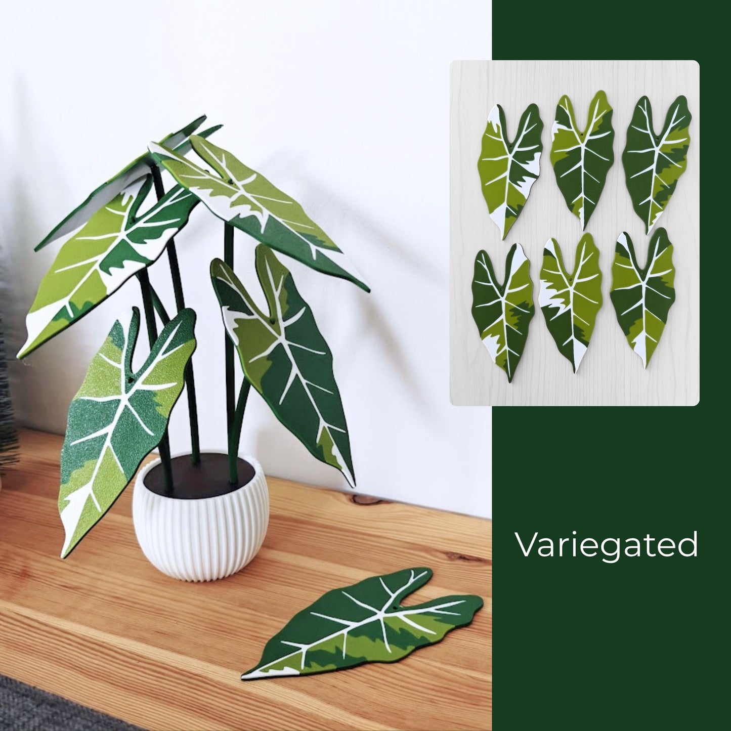 Alocasia Frydek Coaster Set