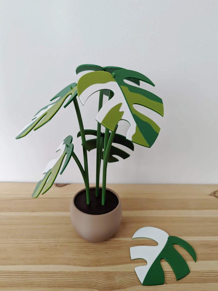 Monstera Minima Coaster Plant Raphidaphora, Monstera Coaster Set, Leaf Coaster, 3D printed Coasters