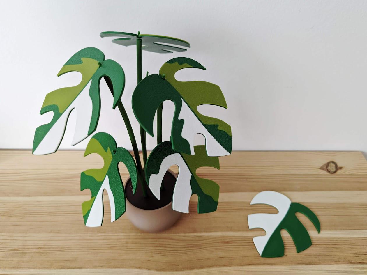 Monstera Minima Coaster Plant Raphidaphora, Monstera Coaster Set, Leaf Coaster, 3D printed Coasters