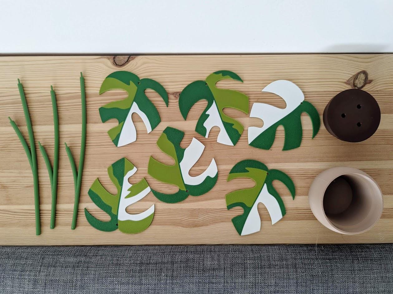 Monstera Minima Coaster Plant Raphidaphora, Monstera Coaster Set, Leaf Coaster, 3D printed Coasters