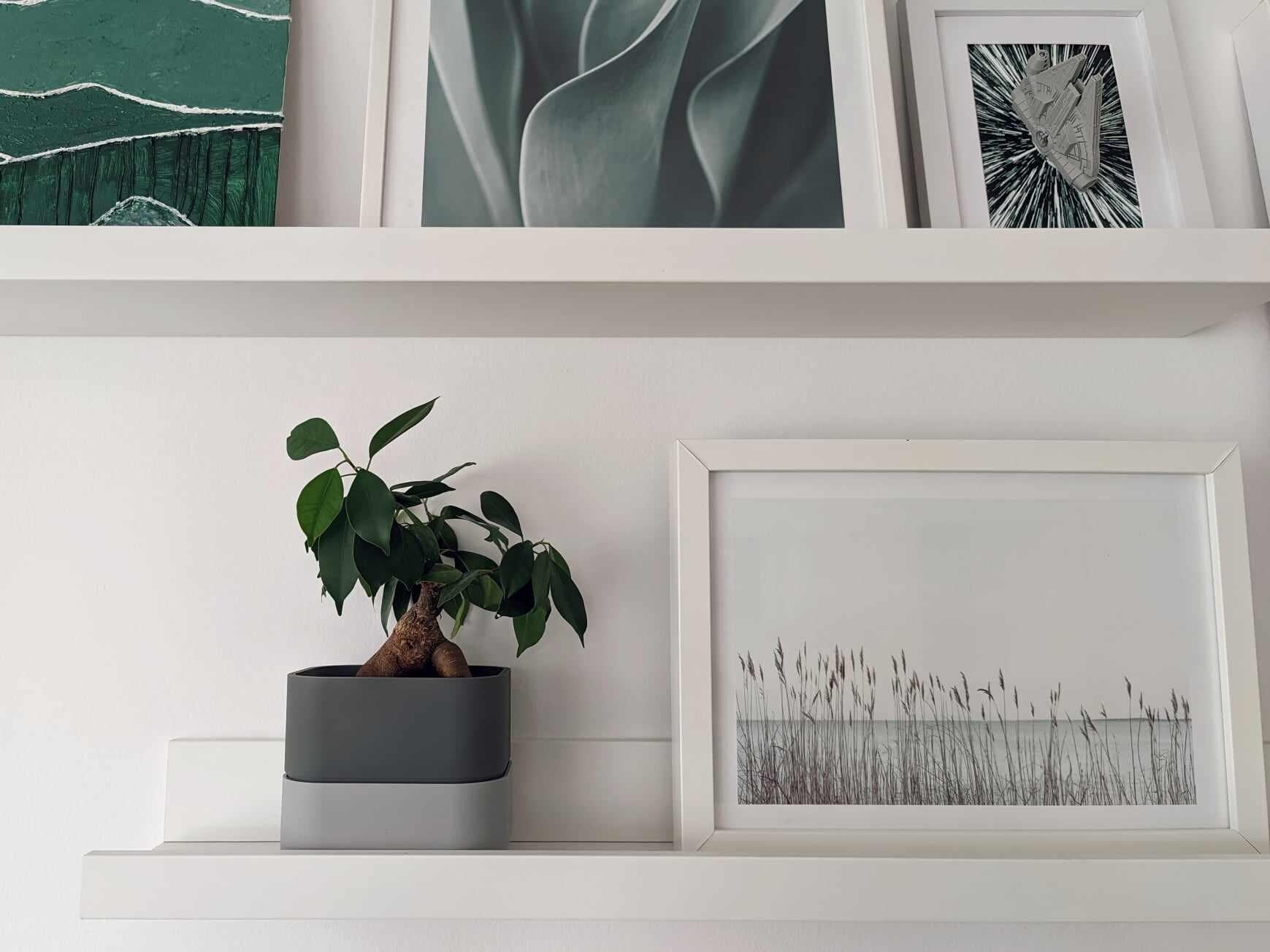 Planter Pot for Narrow Shelves or Crawling Plants Minimalistic Modern Design