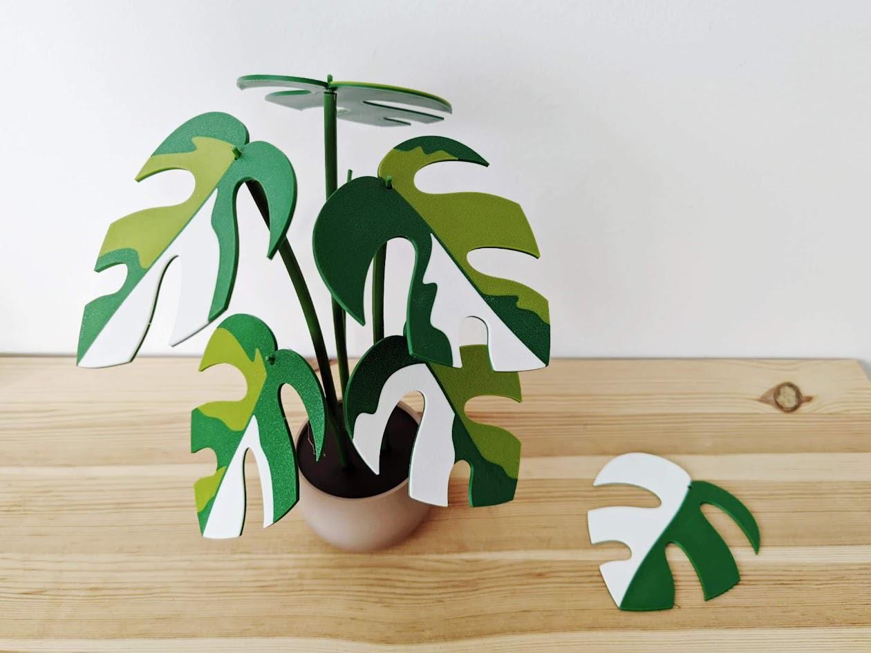 Monstera Minima Coaster Plant Raphidaphora, Monstera Coaster Set, Leaf Coaster, 3D printed Coasters