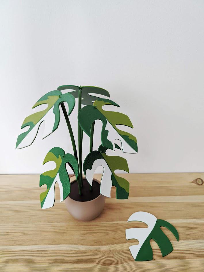 Monstera Minima Coaster Plant Raphidaphora, Monstera Coaster Set, Leaf Coaster, 3D printed Coasters