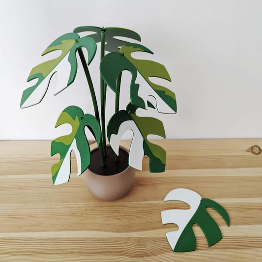Monstera Minima Untersetzer-Set, Raphidaphora Tetrasperma