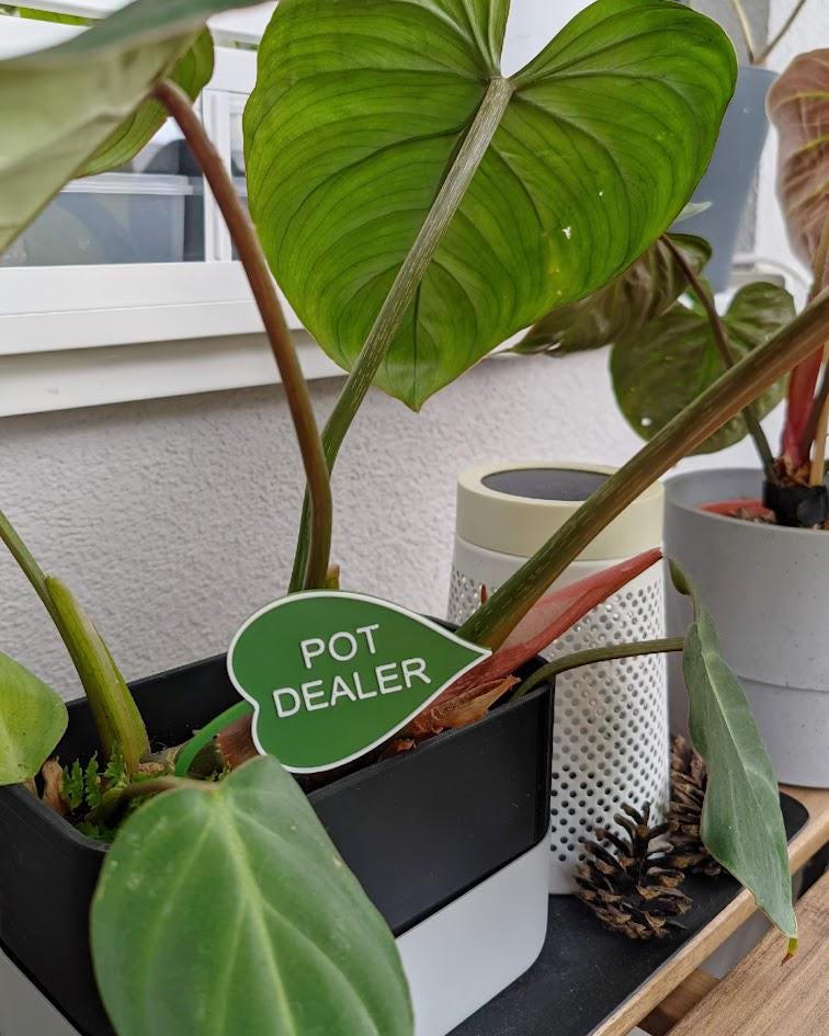Funny Leaf Shaped Plant Signs - set of 5 pcs, choose your text, Eco-friendly Sustainable 3d Printed, Garden Markers Decor, Plant Accessories