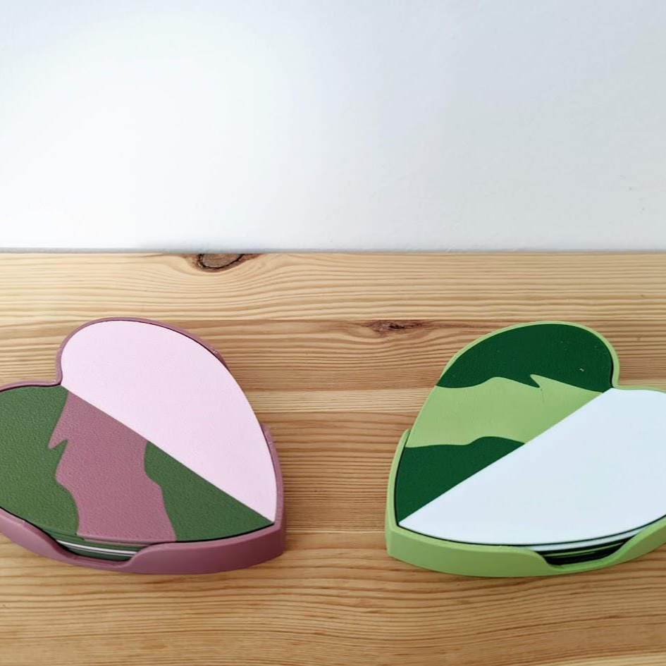 Set podmetača Philodendron Pink Princess ili White Princess