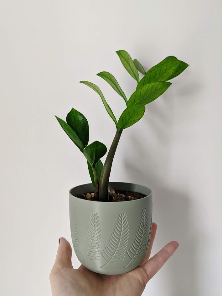 Pine Planter, Modern Plant Pot for Home Decor, 3d printed plant pot