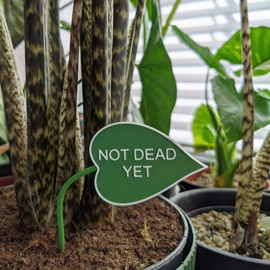 plant sign funny message pot