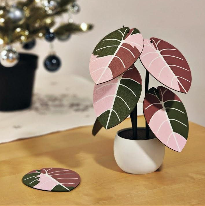 Alocasia Black Velevet, Melo Variegated, Coaster set, Leaf Coasters
