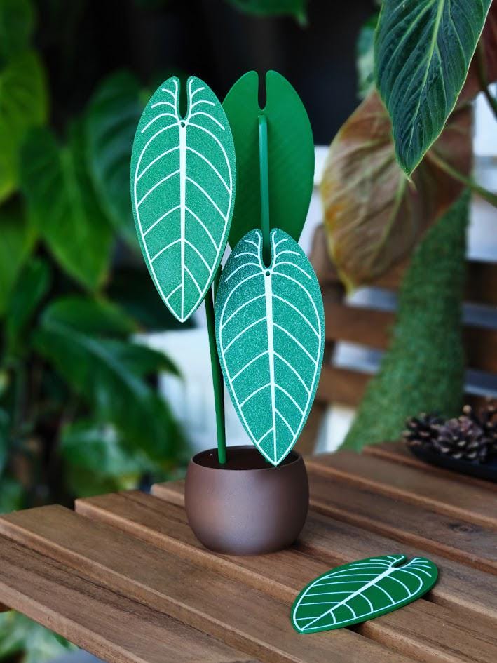 Anthurium Warocqueanum, Plant Coaster Set, Queen of Anthuriums, Leaf Coasters, 3D printed Coasters, Anthurium Coaster, Anthurium Waro