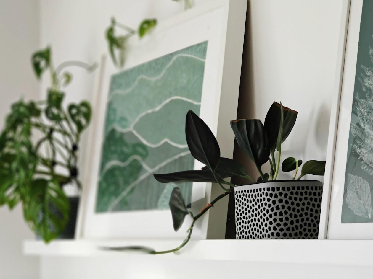 Voronoi Plant Pot for Narrow Shelves or Crawling Plants Minimalistic Modern Design, Two sizes, 3d print