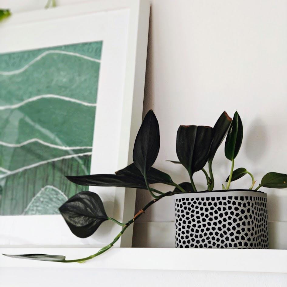 Voronoi Plant Pot for Narrow Shelves or Crawling Plants Minimalistic Modern Design, Two sizes, 3d print