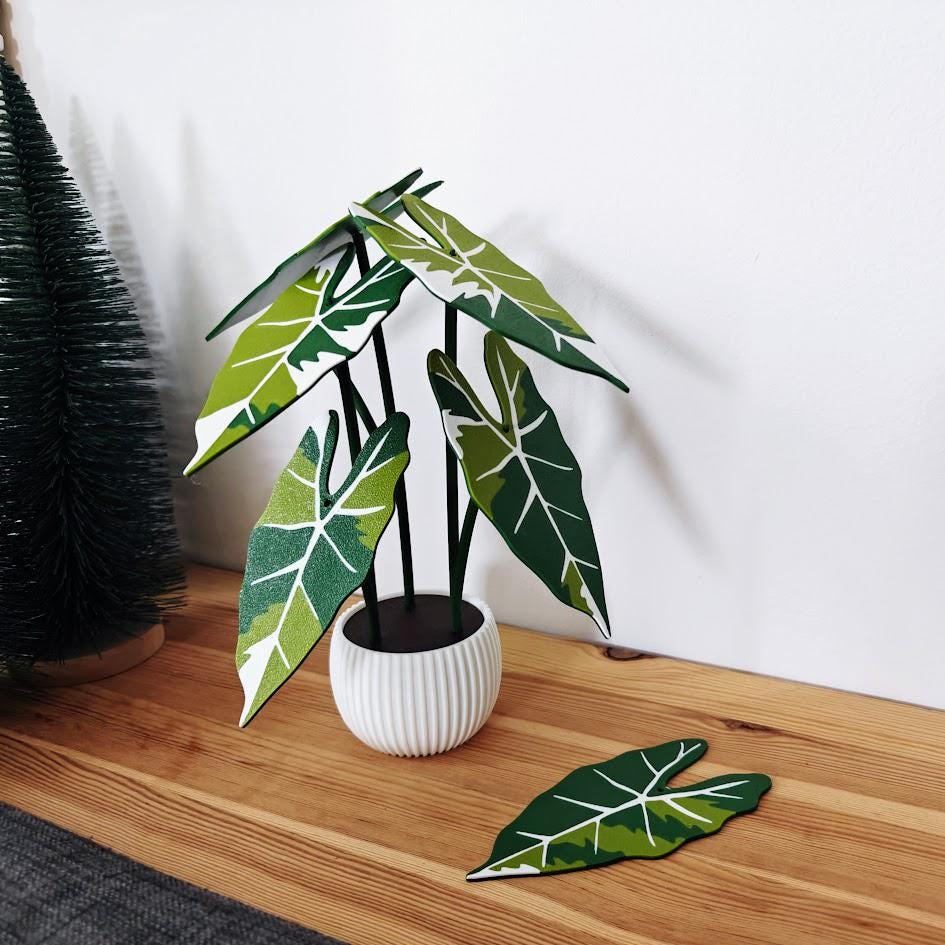 Coaster Plant Alocasia Frydek, Alocasia Green Velvet, 3D printed Coaster Set Alocasia Leaf Coasters, Alocasia Variegated Frydek