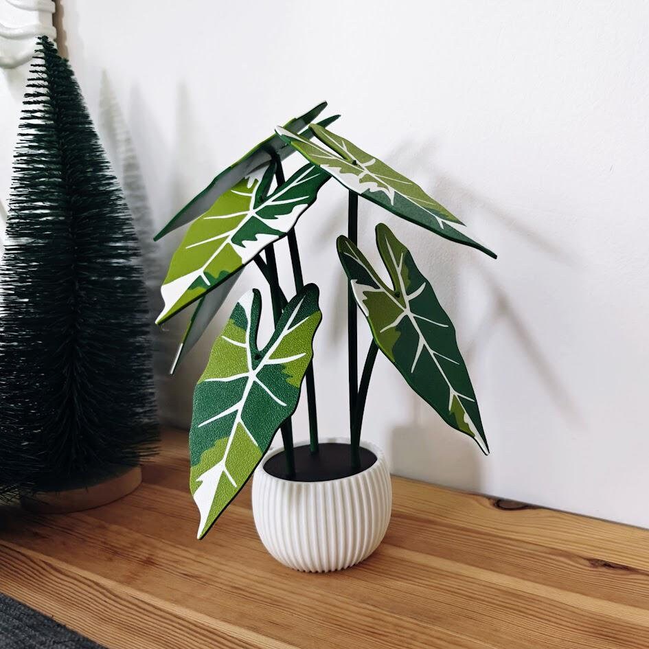 Alocasia Frydek Green Velvet Coaster Set, Decoration Gift Present, Plant with Pot, Variegated Leaf Coasters