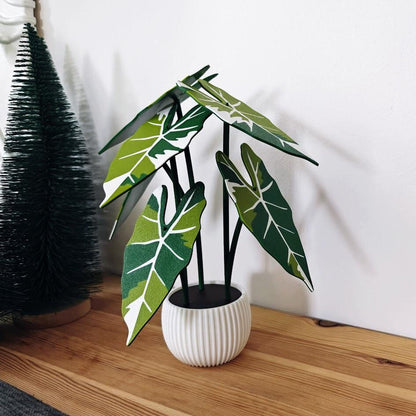 Alocasia Frydek Green Velvet Coaster Set, Decoration Gift Present, Plant with Pot, Variegated Leaf Coasters