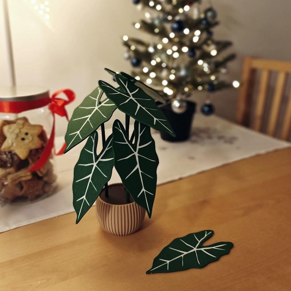 Alocasia Frydek Green Velvet Coaster Set, Decoration Gift Present, Plant with Pot, Variegated Leaf Coasters, 3d print
