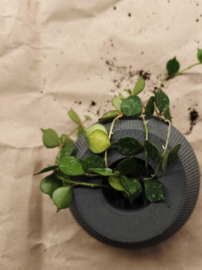 Inverted Plant Pot Hanging Ropes – Upside Down Planter for Unique Indoor Garden, Plant Pot Decor
