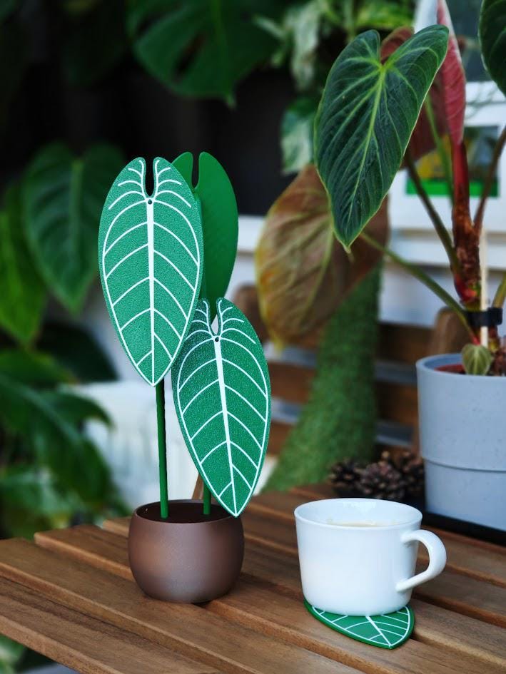 Anthurium Warocqueanum, Plant Coaster Set, Queen of Anthuriums, Leaf Coasters, 3D printed Coasters, Anthurium Coaster, Anthurium Waro