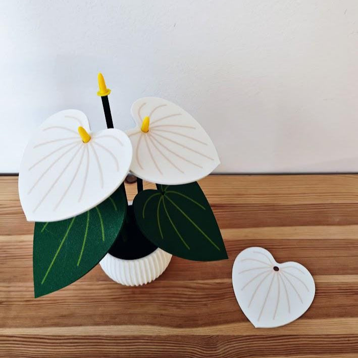 Anthurium Plant Coaster Set, Coaster Plant, Mother&#39;s Day Gifts for Plant Lovers Gift, 3D printed Coasters