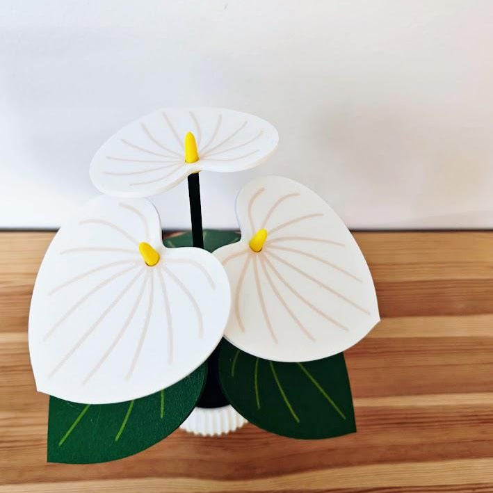 Anthurium Plant Coaster Set, Coaster Plant, Mother&#39;s Day Gifts for Plant Lovers Gift, 3D printed Coasters